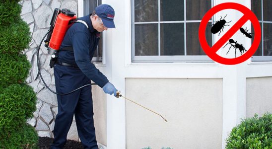 Yelki Bit İlaçlama böcek ilaçlama ve haşere kontrolü — ilaclama-tr.com